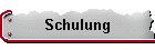 Schulung